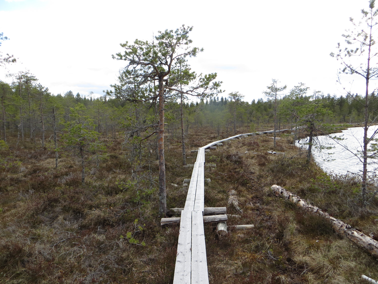 Valkeisjärven leirintäalue — photo 6