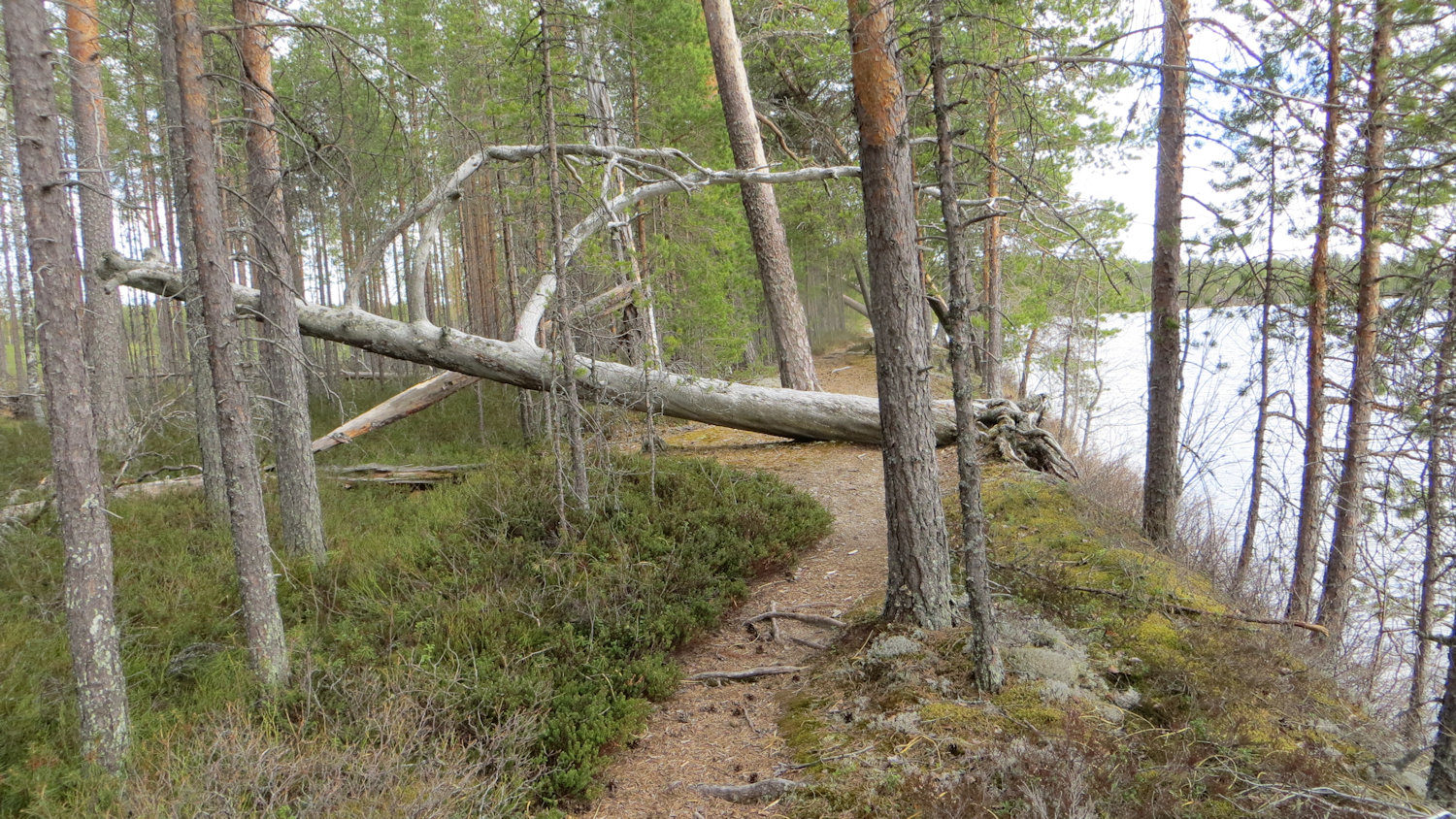 Valkeisjärven leirintäalue — photo 8